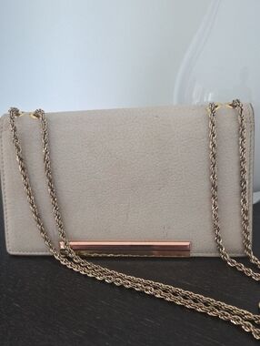 Etienne Aigner Beige Wallet/Crossbody with Gold-Tone Chain